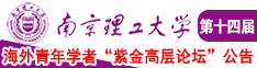 鸡巴操逼无码视频南京理工大学第十四届海外青年学者紫金论坛诚邀海内外英才！